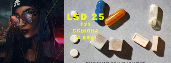амф Заволжье