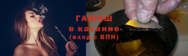 амф Заволжье