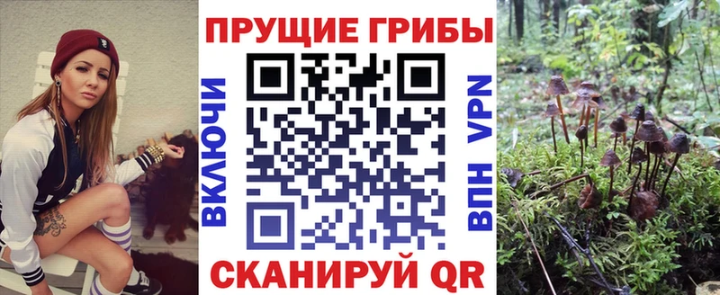 где можно купить   Полтавская  Галлюциногенные грибы Cubensis 