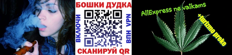 Каннабис гибрид  Полтавская 